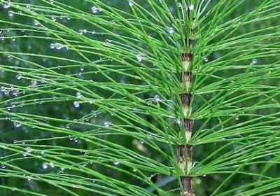 人生值得尝试的句子(合集60句)