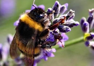 人生感悟句子图片悲伤(合集40句)