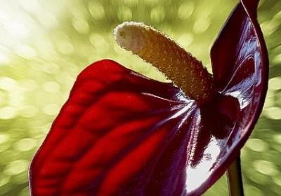 人生感悟和哲理句子(40句)