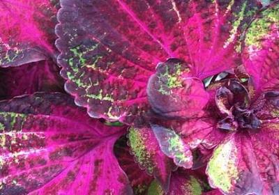 人生快乐的道理句子(热门40句)