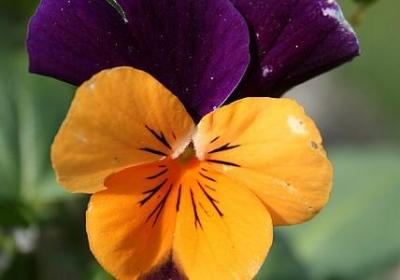 人生感悟昨天的句子(推荐49句)