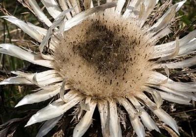 人生的苦与累的句子(合集60句)