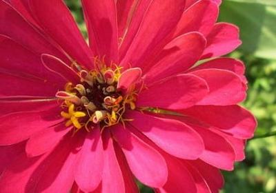 人生期望感言句子(优选10句)