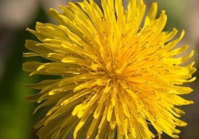 人生是厚实的句子(热门50句)