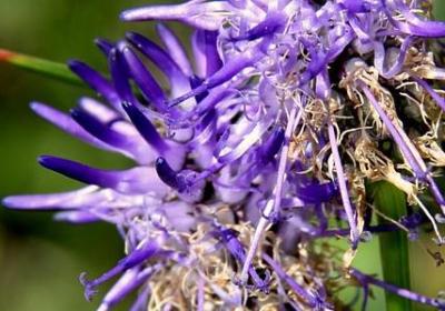 人生没有遗憾的句子(精选50句)