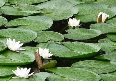 人生辉煌的句子(必备40句) 人生辉煌的句子(必备40句)