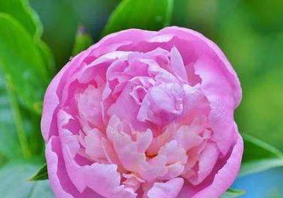 人生走错路的经典句子(实用80句)