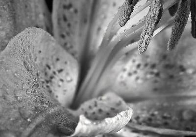 人的生命很脆弱的句子(合集40句)