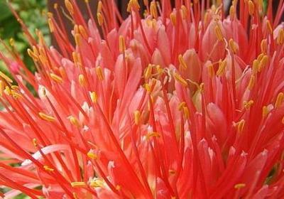 人相处哲理句子(合集40句)