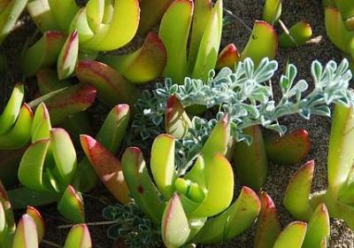 人要有志气的句子(优选79句)