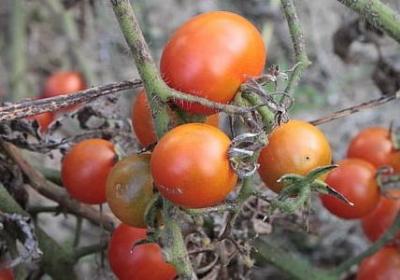 人间正道是沧桑句子(通用50句) 人间正道是沧桑句子(通用50句)