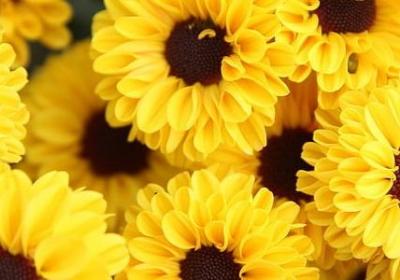 人间感情的句子(必备40句)