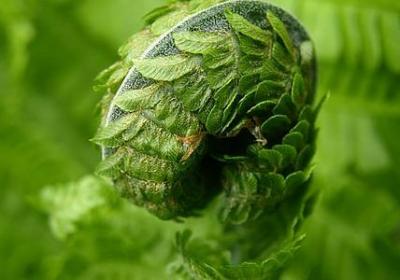 人间主宰古风句子(实用33句)