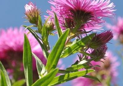 人间黑暗句子(共15句)