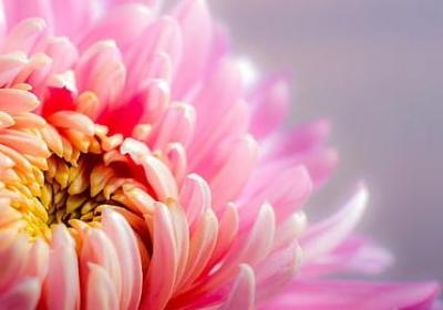 什么句子最美(合集80句)