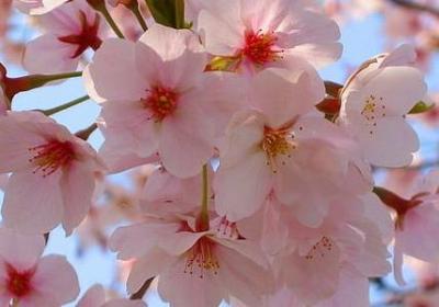 什么句子回答(必备40句)