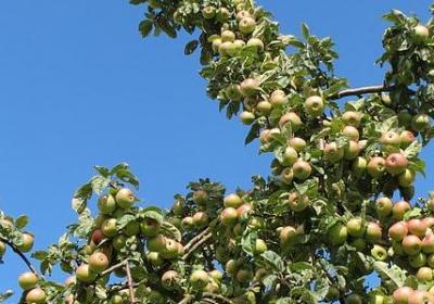 什么句子体现自己色(推荐70句) 什么句子体现自己色(推荐70句)