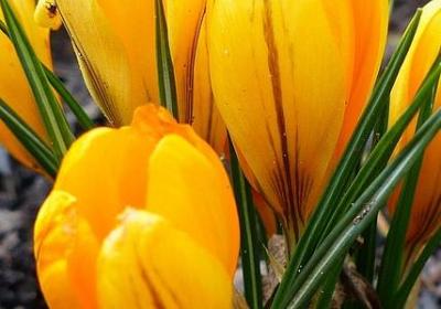 人口表白句子(合集40句)