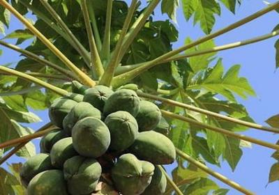 人在最脆弱的时候句子(精选80句)