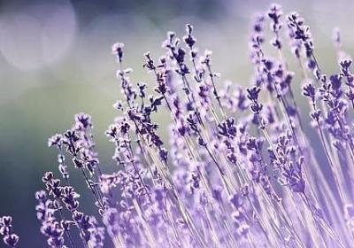 人是会改变的句子(共15句)