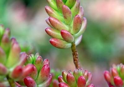 人性两面句子(合集10句)