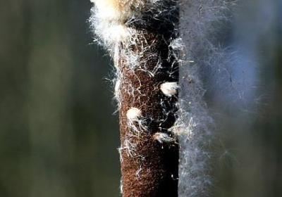 人心难变的句子(合集59句)