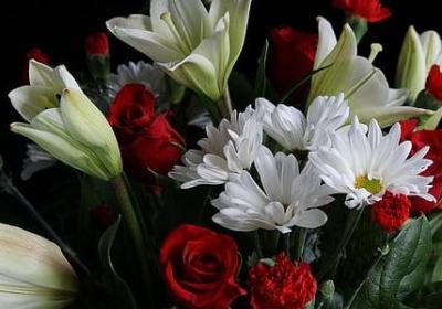 人物神态的句子短句(50句)