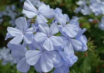 人物疑惑神态的句子(合集50句)