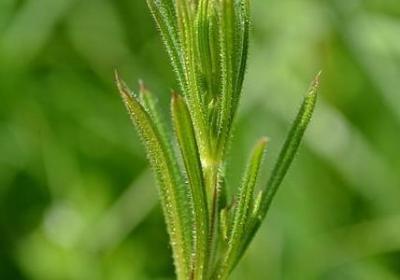 人生句子赏析(优选10句)