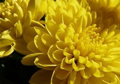 人生去世的句子(共41句)