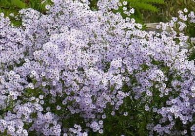 人生健康成功的句子(汇总70句)