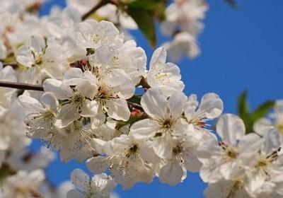 人生不能太强大句子(合集20句)