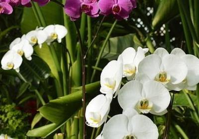 人生心态的句子(80句)