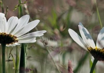 人生感悟语录 文案句子(合集60句)