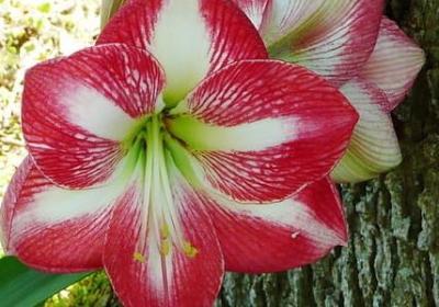 人生心灵感悟的句子(优选50句)