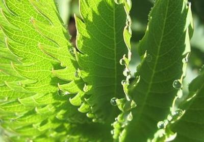 人生折腾的句子(80句)