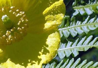 人生的意义句子(合集80句)