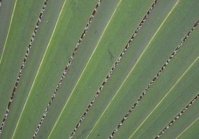 人生精辟句子经典语录(必备50句)