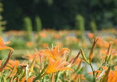 人生艰难的句子(共40句) 人生艰难的句子(共40句)