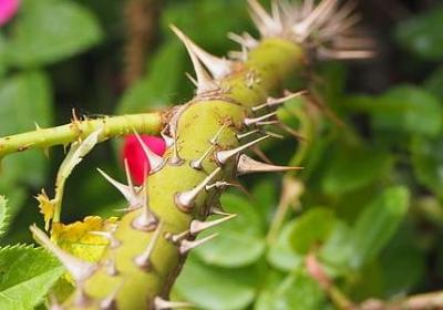 人生错过的句子经典(优选40句)