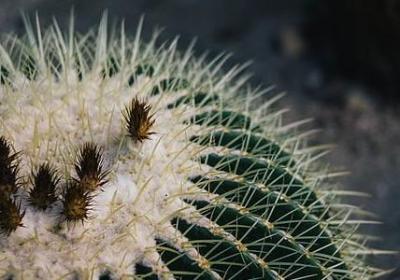 人生赢家句子(推荐15句)