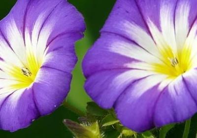 人类自由的句子英文(优选20句)