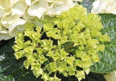 人的忍耐是有限度的句子(实用15句)