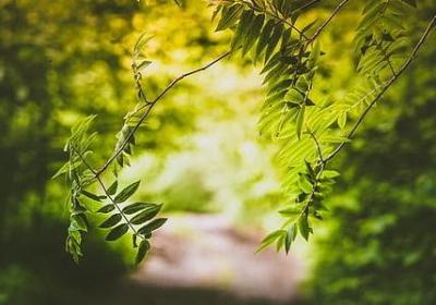 人落凡间的句子(热门10句)