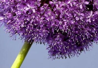 人设崩塌标题句子(共50句)