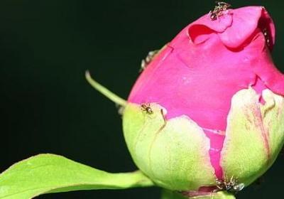 人鱼陷落优秀句子(热门11句) 人鱼陷落优秀句子(热门11句)