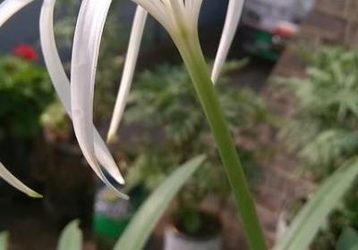 人间灯火万千的句子(推荐10句)