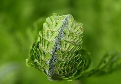 人害怕紧张的句子(实用40句)