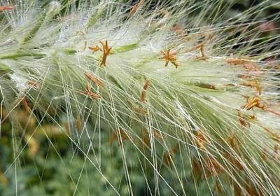 人心难题有哪些句子(7句)