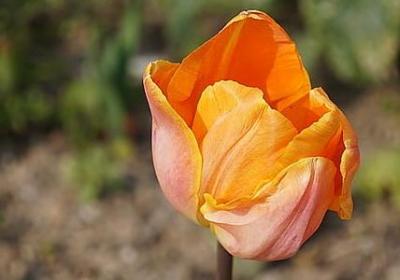 人物英雄排比句子(热门12句)